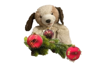 Musiklek med Ludde och Sussi med Macke på gitarr alla torsdagar